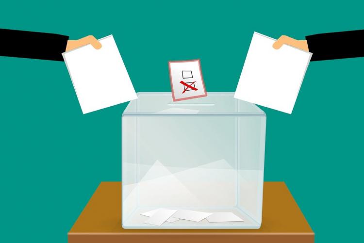 Immagine che raffigura Avviso agli elettori per le operazioni di voto