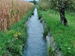 alla attenzione delle aziende agricole di Medolago 