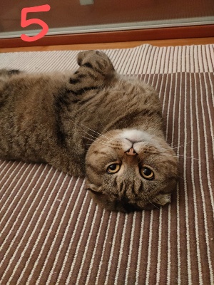 05-ARTU