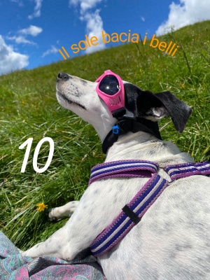 10-DORI