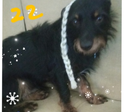 22-CARLOS