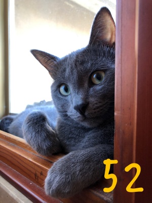 52-ROMEO