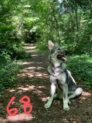 68-KIRA