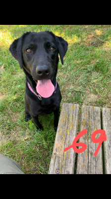 69-NOIRE