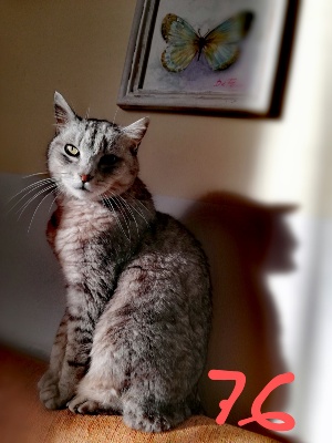 76-GEORGE