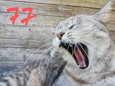 77-GEORGE