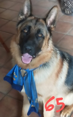 DEKI