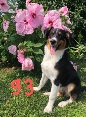 ARTÙ