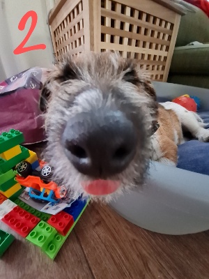 DUGGEE