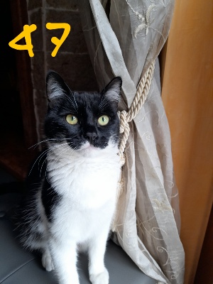 MILÚ