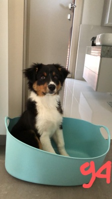 ARTÙ