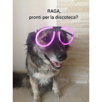 FUORICONCORSO-Discoteca