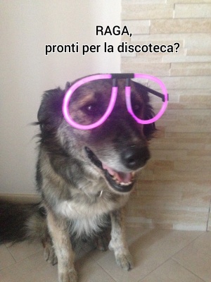 FUORICONCORSO-Discoteca