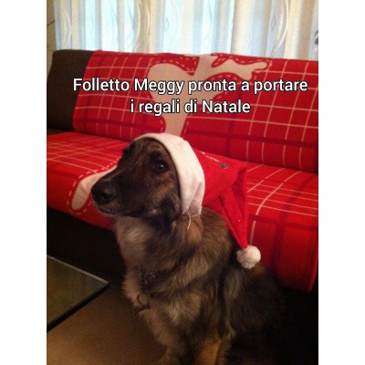 FUORICONCORSO-Natale