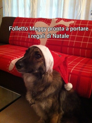 FUORICONCORSO-Natale