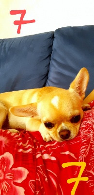 MIA - foto 2
