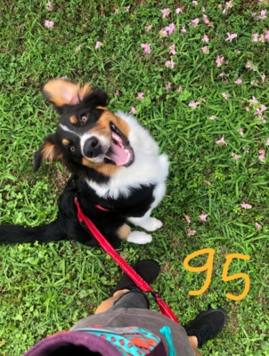 ARTÙ