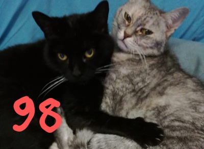 MORTICIA e LUNA